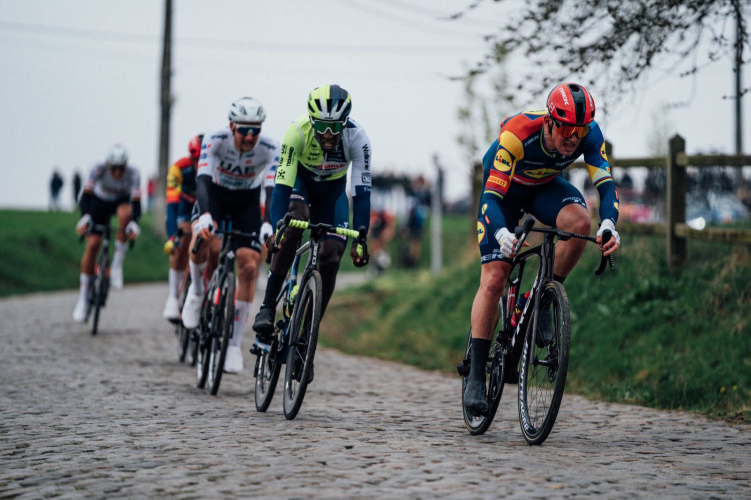 Favorieten Ronde van Vlaanderen 2024 - Biniam Girmay