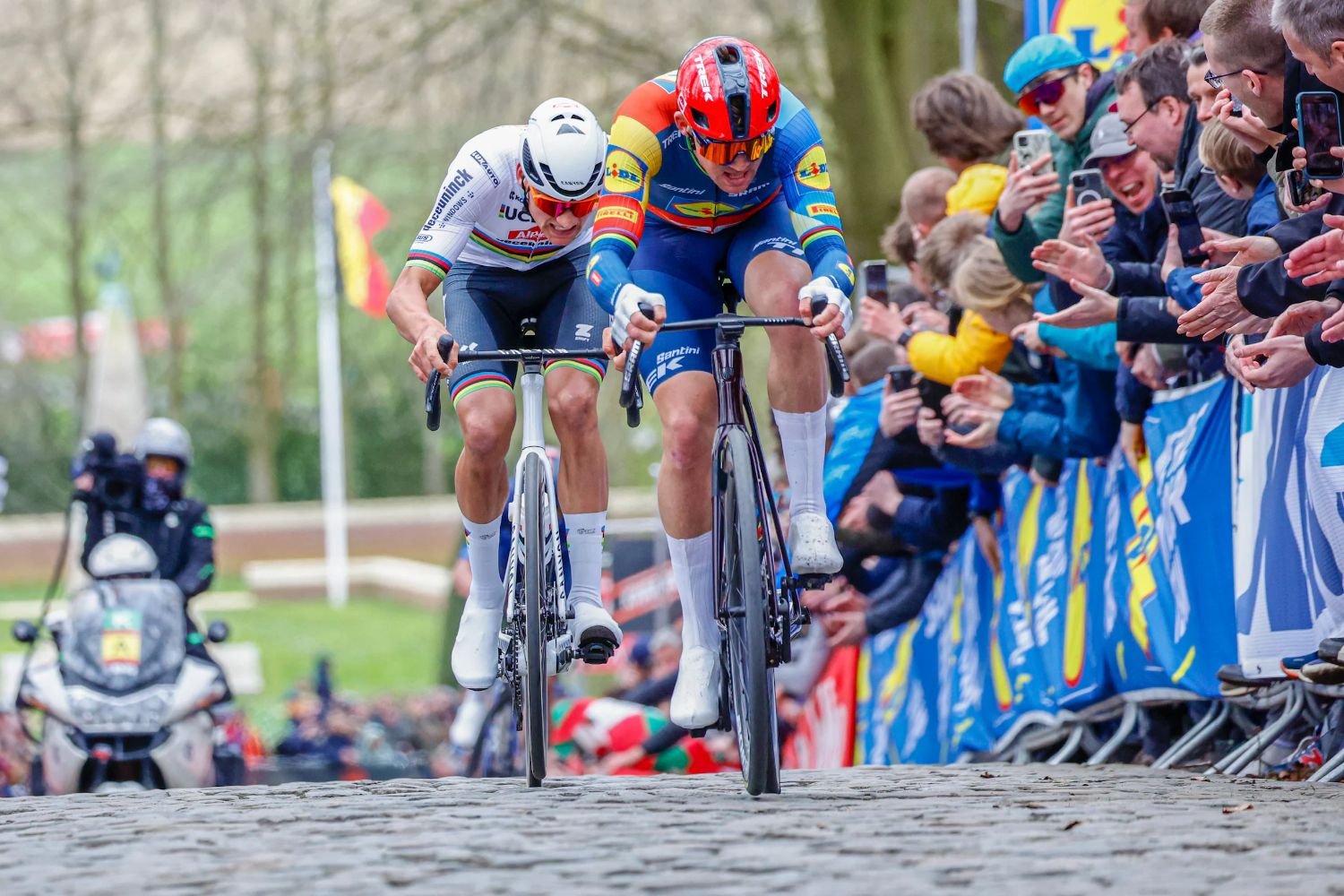 Favorieten Ronde van Vlaanderen 2024 - Mathieu van der Poel en Mads Pedersen