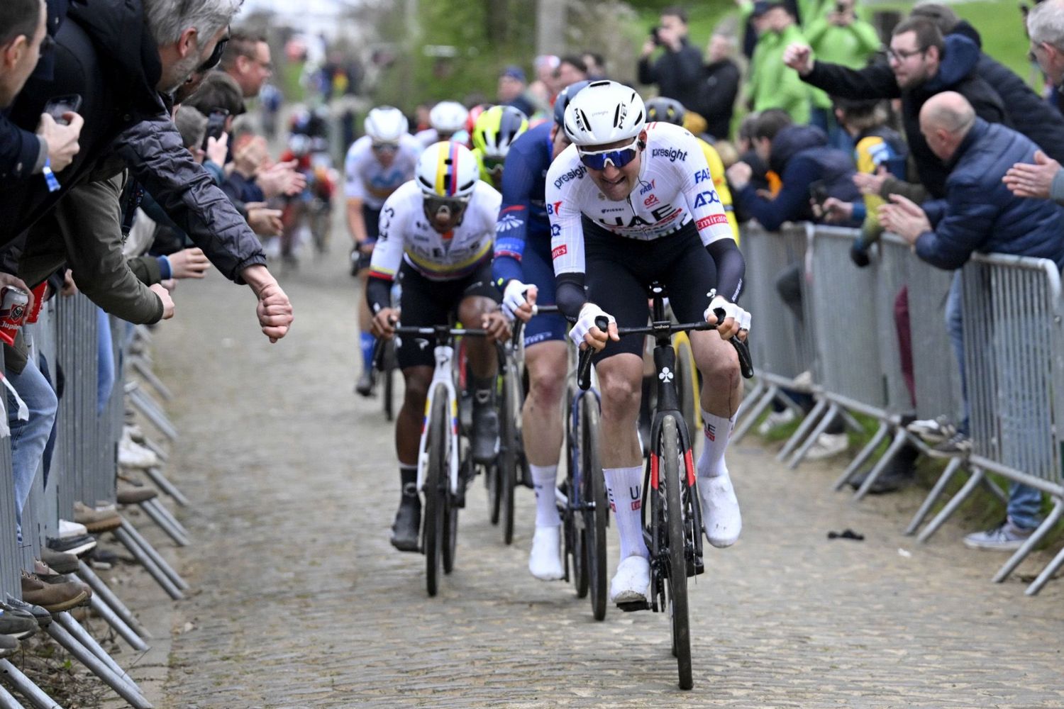 Favorieten Ronde van Vlaanderen 2024 Tim Wellens