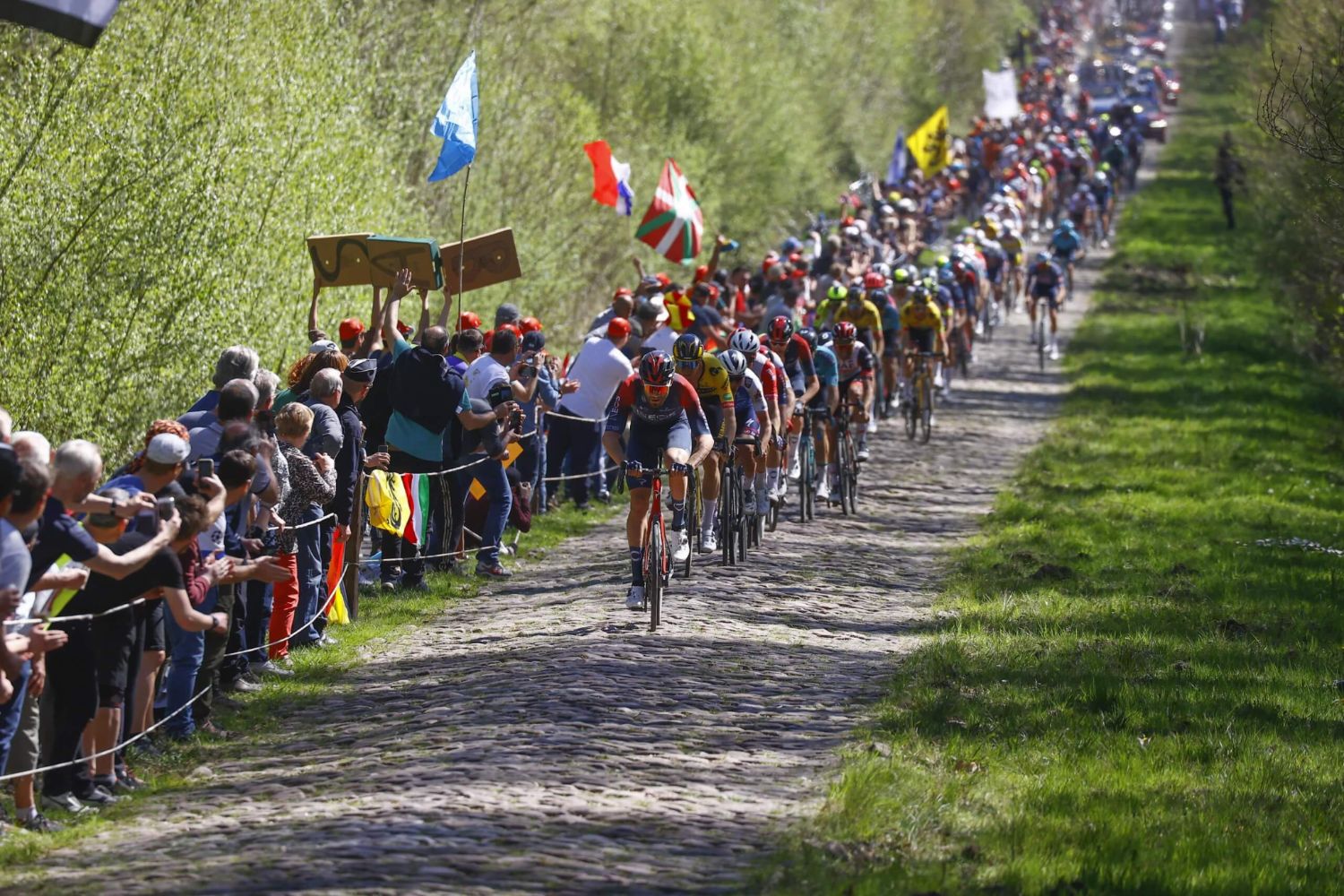 Voorbeschouwing Parijs Roubaix 2024 Bos van Wallers