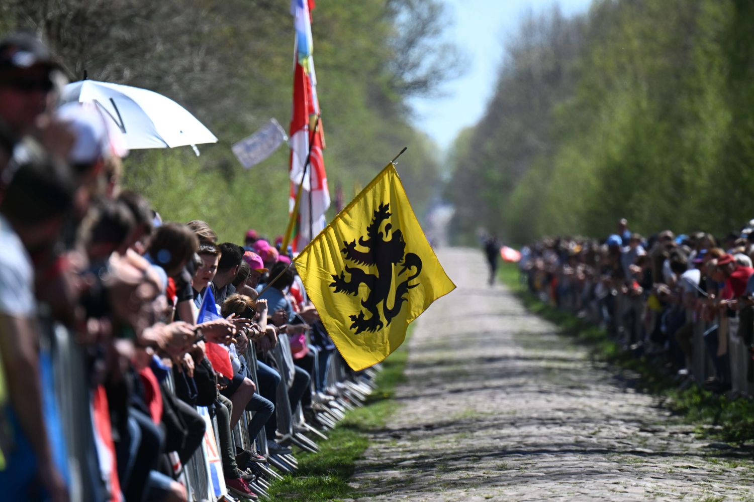 Voorbeschouwing Parijs Roubaix 2024